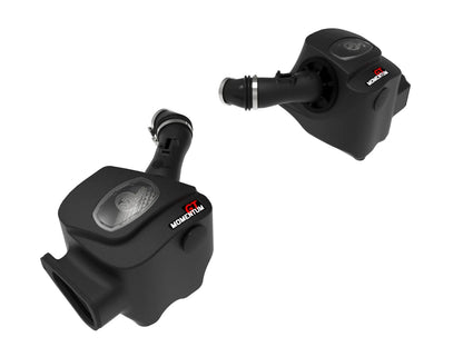 Momentum GT Cold Air Intake System w/ Pro DRY S Filters
