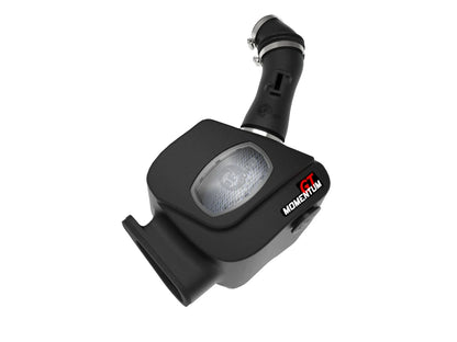 Momentum GT Cold Air Intake System w/ Pro DRY S Filters